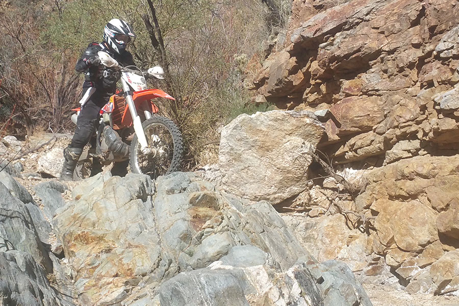 Arizona Dirt Bike Rentals trail riding photo 22